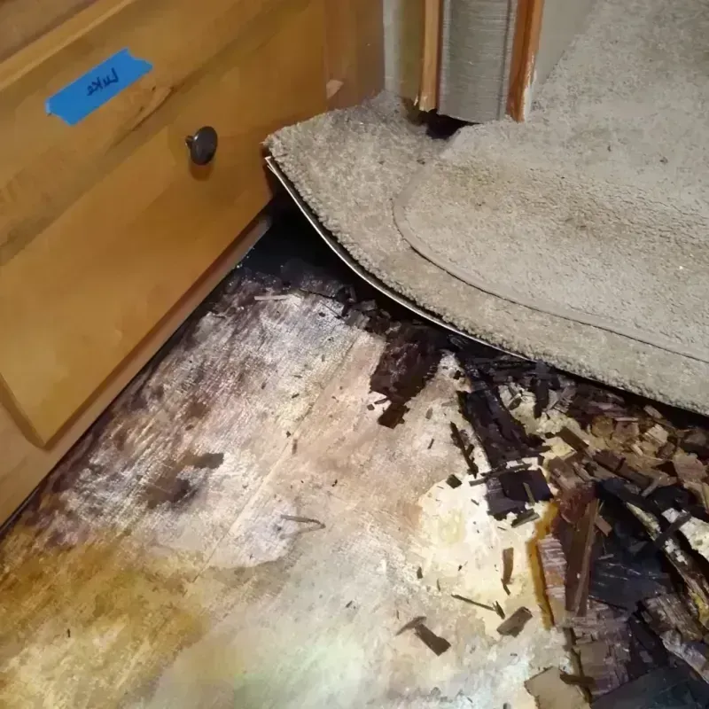 Best Wood Floor Water Damage Service in Ogden Dunes, IN